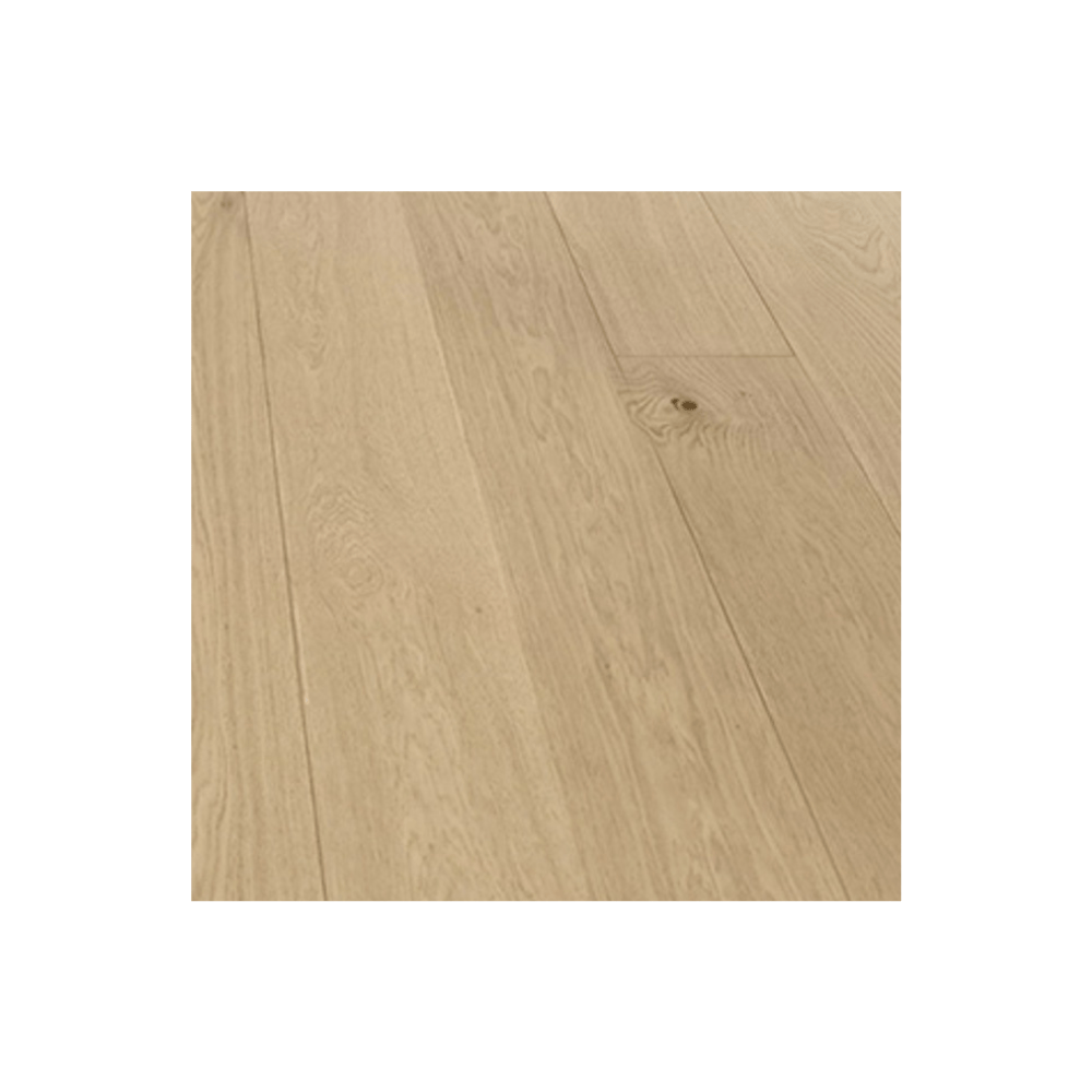 Modern Minimalist Bundle - Mara Surfaces