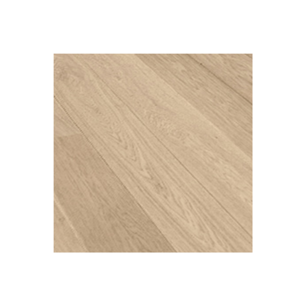 Modern Minimalist Bundle - Mara Surfaces