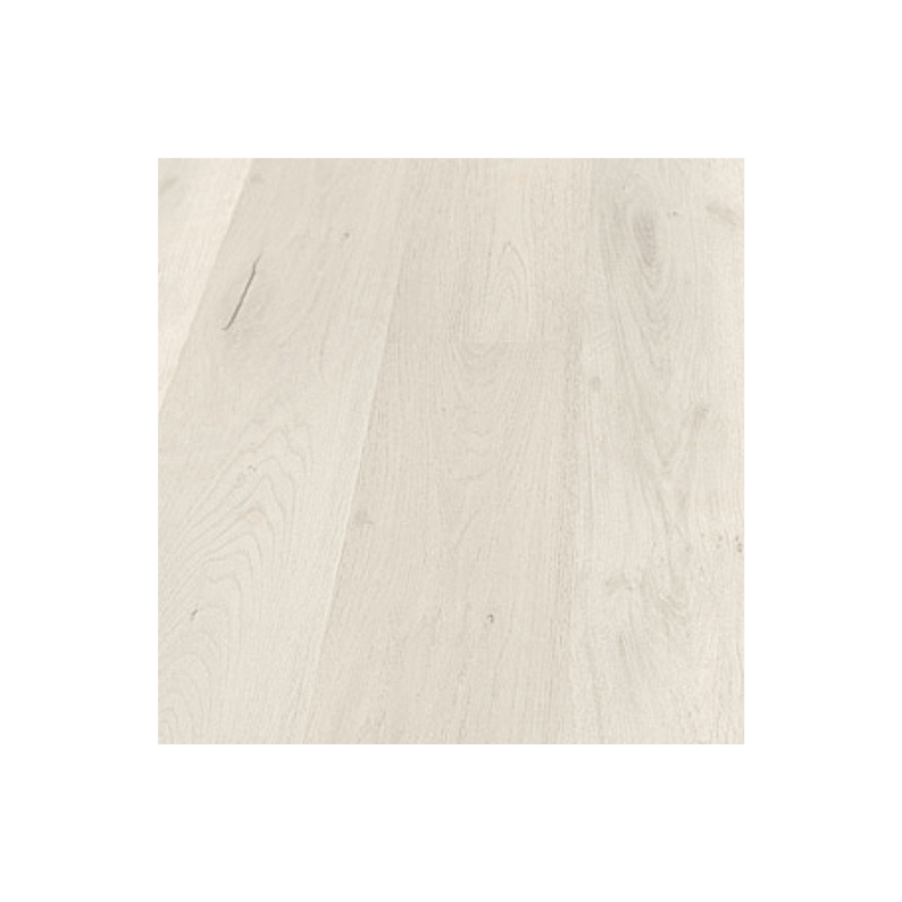 Modern Minimalist Bundle - Mara Surfaces