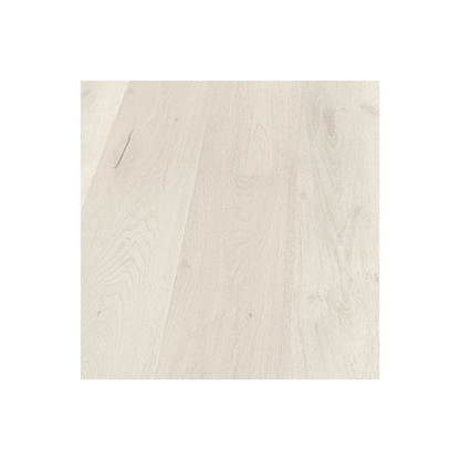 Modern Minimalist Bundle - Mara Surfaces