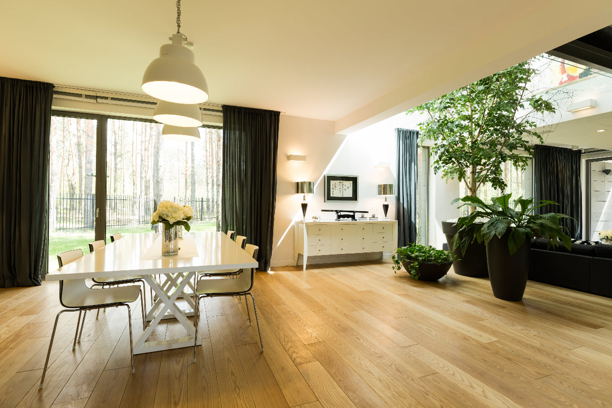 Open dining room with open floorplan and plants