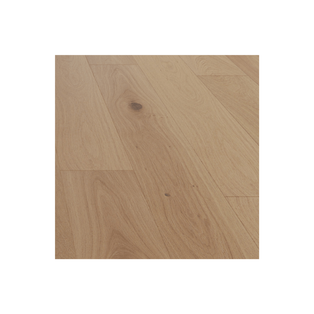 Designer Statement Sample Bundle - Mara Surfaces